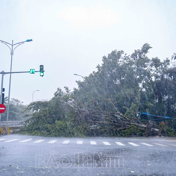 Bão Yagi đổ bộ vào đất liền, Hà Nam có những thiệt hại ban đầu