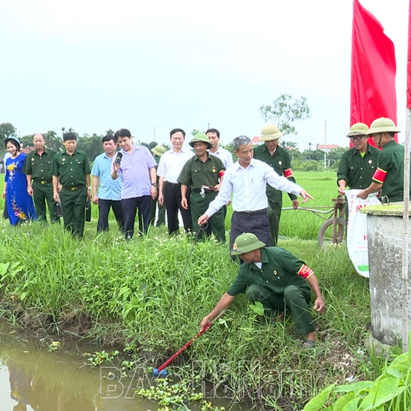 Cán bộ, hội viên CCB Lý Nhân tích cực tham gia bảo vệ môi trường