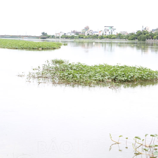 Chủ động ứng phó trong mọi tình huống lũ, ngập lụt, mưa lớn có thể xảy ra