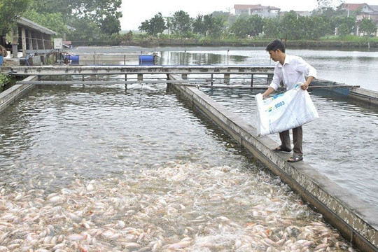 Chuyển đổi cơ cấu cây trồng, vật nuôi: Định hướng tốt để bền vững cao