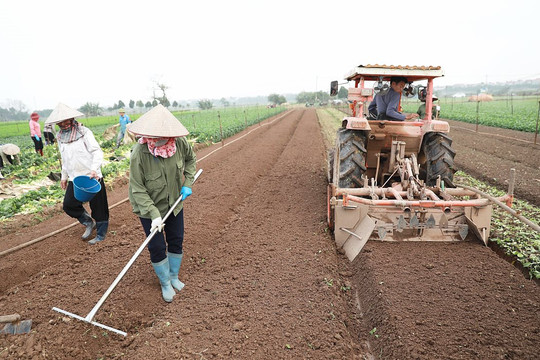 Gắn sản xuất với nhu cầu thị trường