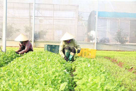 97,6% mẫu nông lâm thủy sản trên thị trường bảo đảm an toàn thực phẩm