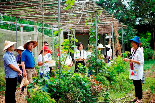 Phát triển nông nghiệp gắn với du lịch nông thôn