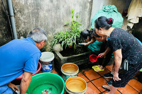 Hà Nội có thêm 265 bệnh nhân và 16 ổ dịch sốt xuất huyết trong một tuần