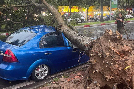 Kinh nghiệm bảo vệ ô tô trước những cơn bão lớn