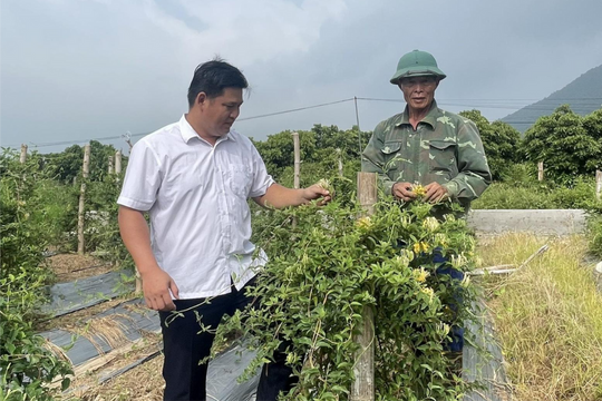 Những bí thư chi bộ, trưởng thôn vùng xa ở Chí Linh