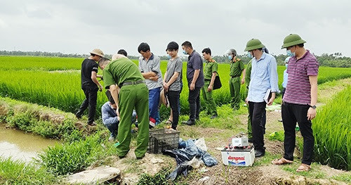 Bẫy chuột bằng điện nguy hiểm thật