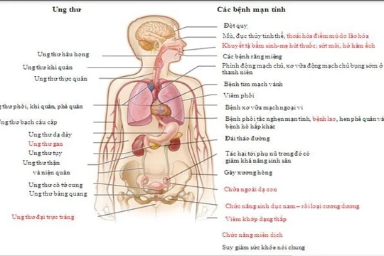 Bộ Giáo dục và Đào tạo đưa phòng chống thuốc lá vào chương trình bậc THPT