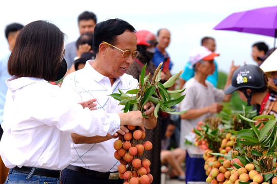 Muốn đi xa phải đi cùng nhau