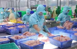 Seafood exports bustle again in year-end period