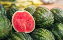 Protocol expected to raise Vietnamese watermelon shipments to China