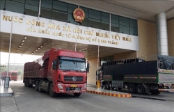 Nearly 3,000 Vietnamese firms receive codes to export agricultural products to China