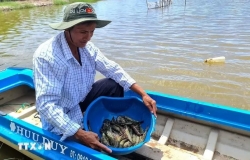 Mekong Delta promotes clean agricultural production to achieve Net Zero