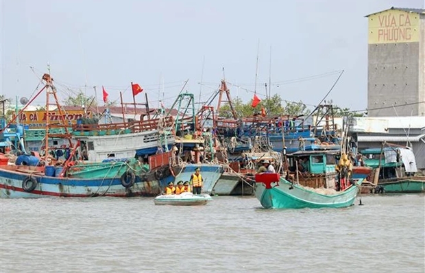 Bac Lieu targets national shrimp hub status