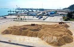 Wood pellet, wood chip exports – a bright spot: official