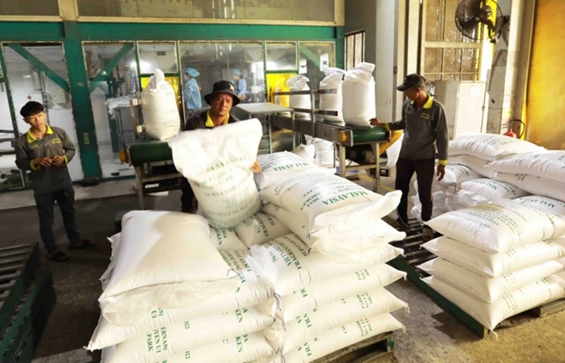 Businesses urged to seize opportunities to boost rice exports to Indonesia