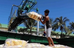 Rice exporters divided on minimum export prices