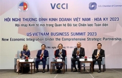 Businesses a motive to develop Vietnam – US ties: Deputy PM