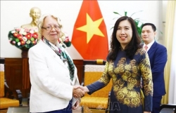 Vietnam to contribute more to UN, int’l organisations: official