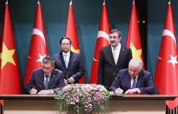 Vietnamese, Turkish national flag carriers cooperate on goods transport