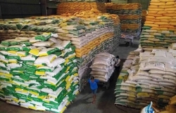 Rice export soars to record high in 2023