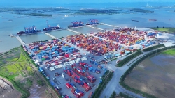 Hai Phong Customs Department achieves about 73% of revenue target