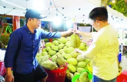 Durian export value set to reach 3.5 billion USD this year