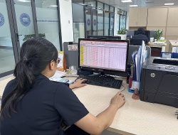 Ho Chi Minh City Customs: Rapidly handling more than 1,600 billion VND in bad debts