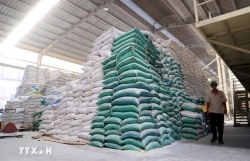 Vietnam's rice exports soar