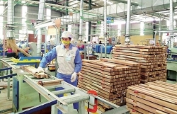 Wood sector regaining footing as orders turn around