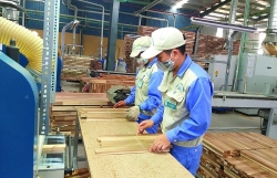 Exporting wood and wood products recovers positively