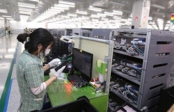 Vietnam to develop initiatives to sustain FDI flows