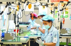 Vietnam's economy in 2024: positive prospects