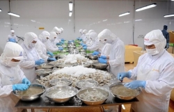 Vietnam"s shrimp industry charts own course amid global competition