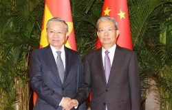 Vietnamese leader meets with top Chinese legislator