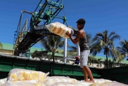 Rice exporters divided on minimum export prices