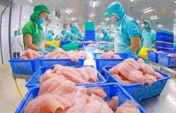 Aquaculture exports hoped to reach 9.5 billion USD in 2024