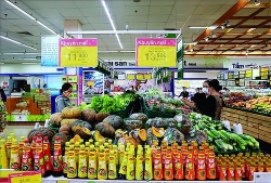 Vietnam’s economy: Positive growth in both quantity and quality