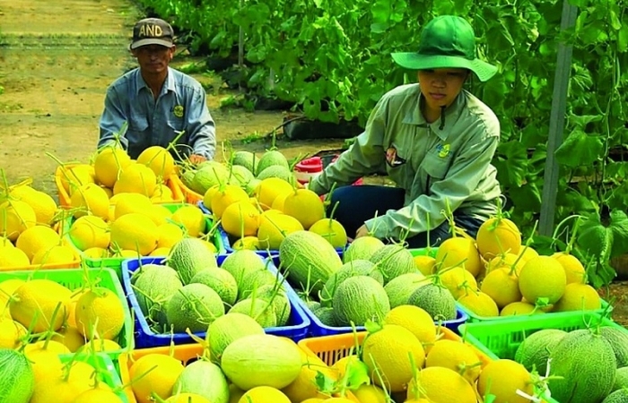 Chuyển đổi xanh, thực hành ESG để tham gia “sân chơi” toàn cầu