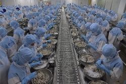 Seafood exports expected to earn US$ 10 billion in 2024