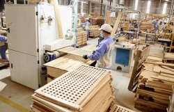 Wood processing industry to see slow export growth in 2024