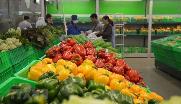 Businesses tap opportunities to maintain fruit, vegetable exports