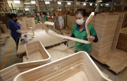 Exports of wood, wooden furniture see strong recovery