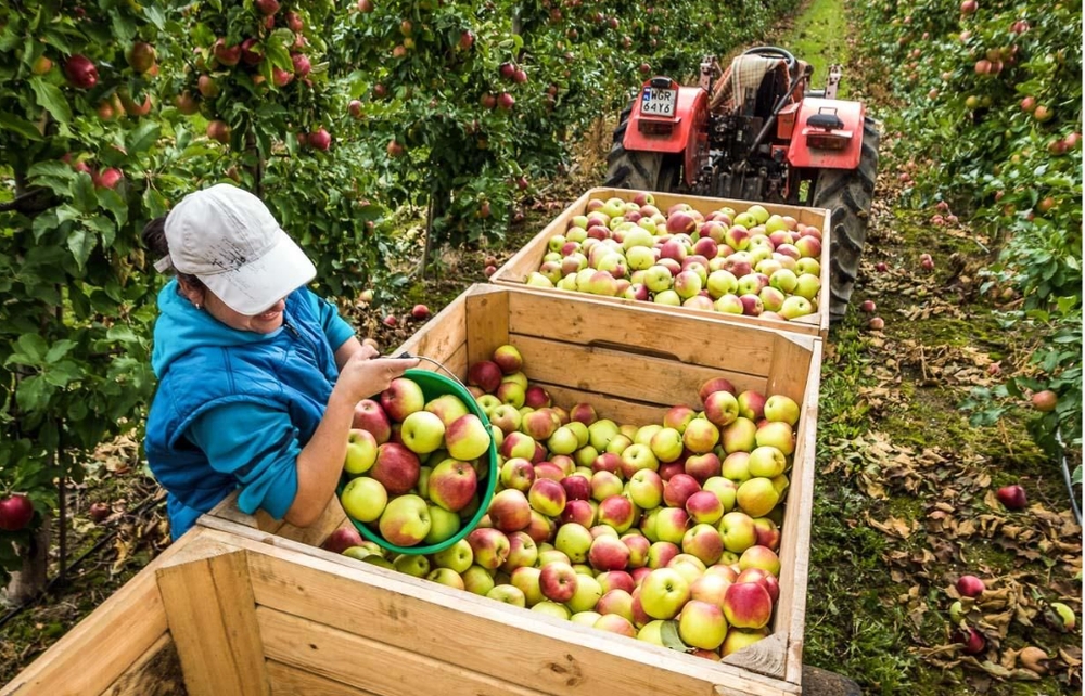 Polish agricultural products promoted in Vietnam