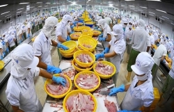 Vietnam needs brand building to boost exports to CPTPP market