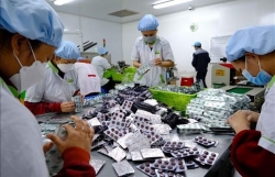 Development strategy for pharmaceutical sector by 2030 approved