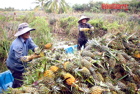 Trên 90% người dân hài lòng về kết quả xây dựng nông thôn mới