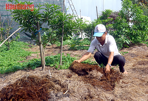 Châu Thành A phấn đấu sớm về đích huyện nông thôn mới nâng cao