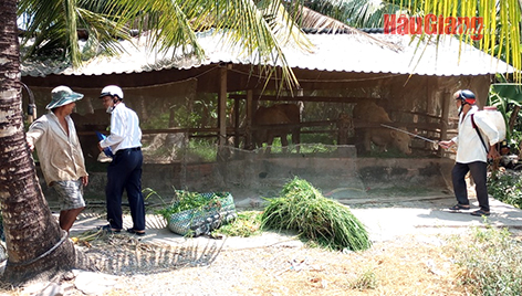 Phát triển chăn nuôi an toàn, bền vững