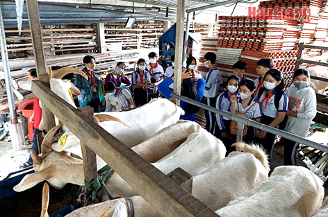 Hậu Giang phát triển du lịch nông nghiệp gắn với sản phẩm OCOP